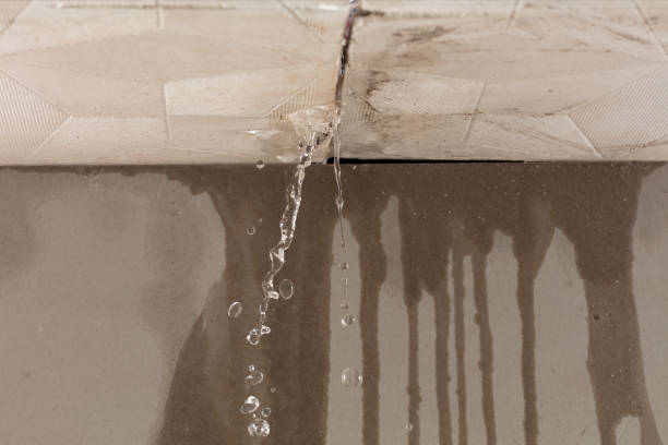 Professional Burst Pipe Cleanup technician working in Rushville, IL